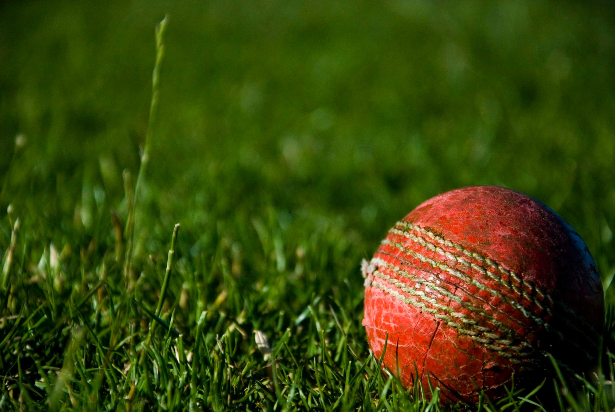 A worn red cricket ball resting in the grass